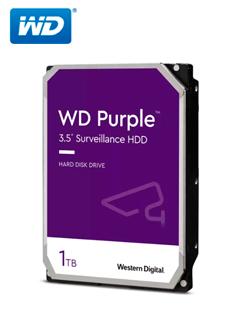 WD11PURZ