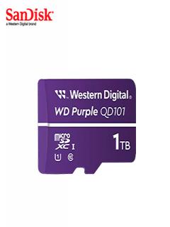 WDD100T1P0C