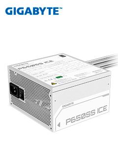 GP-P650SS ICE