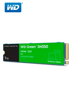 WDS100T2G0C-00CDH0