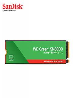 WDS500G4G0E